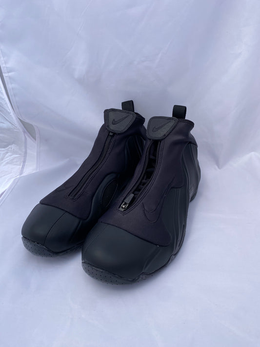 Nike Flightposite Size 10